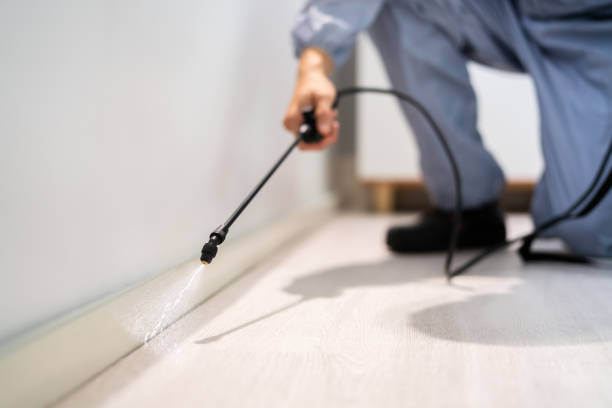 Licensed Cockroach Control service in Milpitas, CA - Nex Pest Control