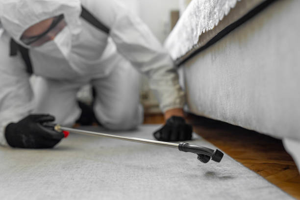Professional Cockroach Control technician working in Milpitas, CA