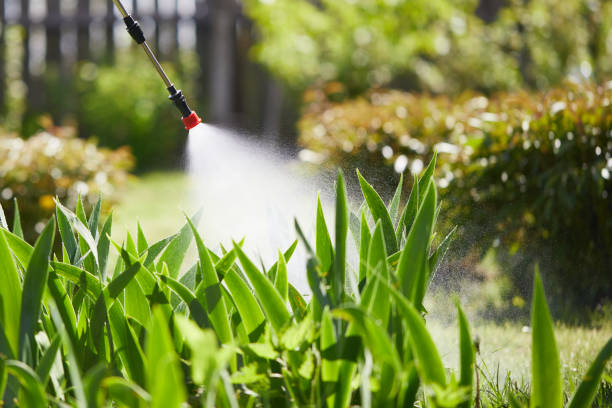 24/7 Emergency Cockroach Control experts in Milpitas, CA