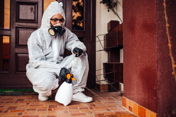 Reliable Cockroach Control contractor in Milpitas, CA by Nex Pest Control